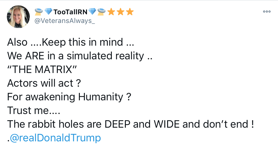 9. The belief in this artificial Matrix within the QAnon community is mostly found within the new age side. Sharon the Alien Lady who thinks Donald Trump is The Christ incarnate is all in on the conspiracy.