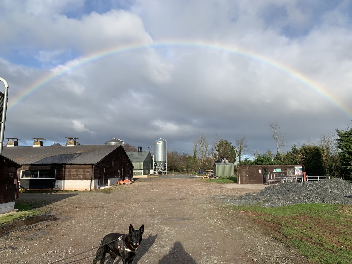 RPD Bear tweet media