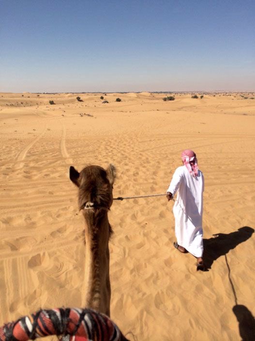 freywl's tweet photo. Je veux aller à dubai https://t.co/Bi1t1jXxkQ