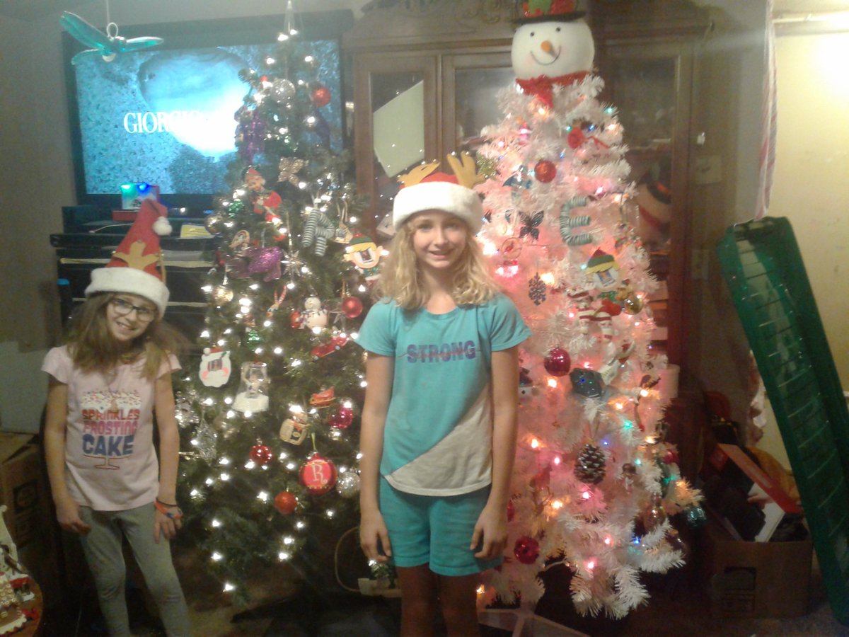 DwayneZ2015's tweet photo. The girls wanted 2 trees this year https://t.co/njnBNKk6K0