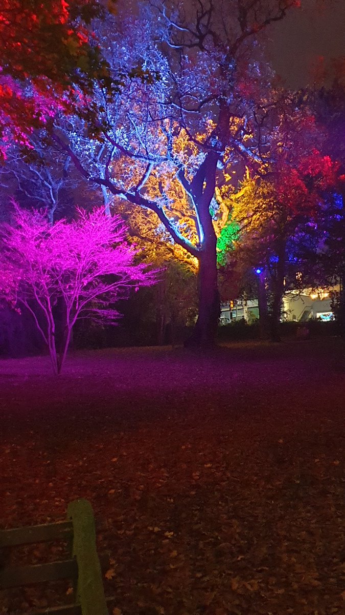 rachpbassett's tweet photo. Christmas lights. 😍🥰 @bbcweather #clevedon #MerryChristmas #coldandcrisp https://t.co/3sHzBf44jI
