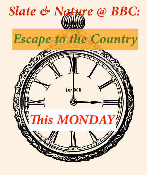 Slate and Nature tweet media