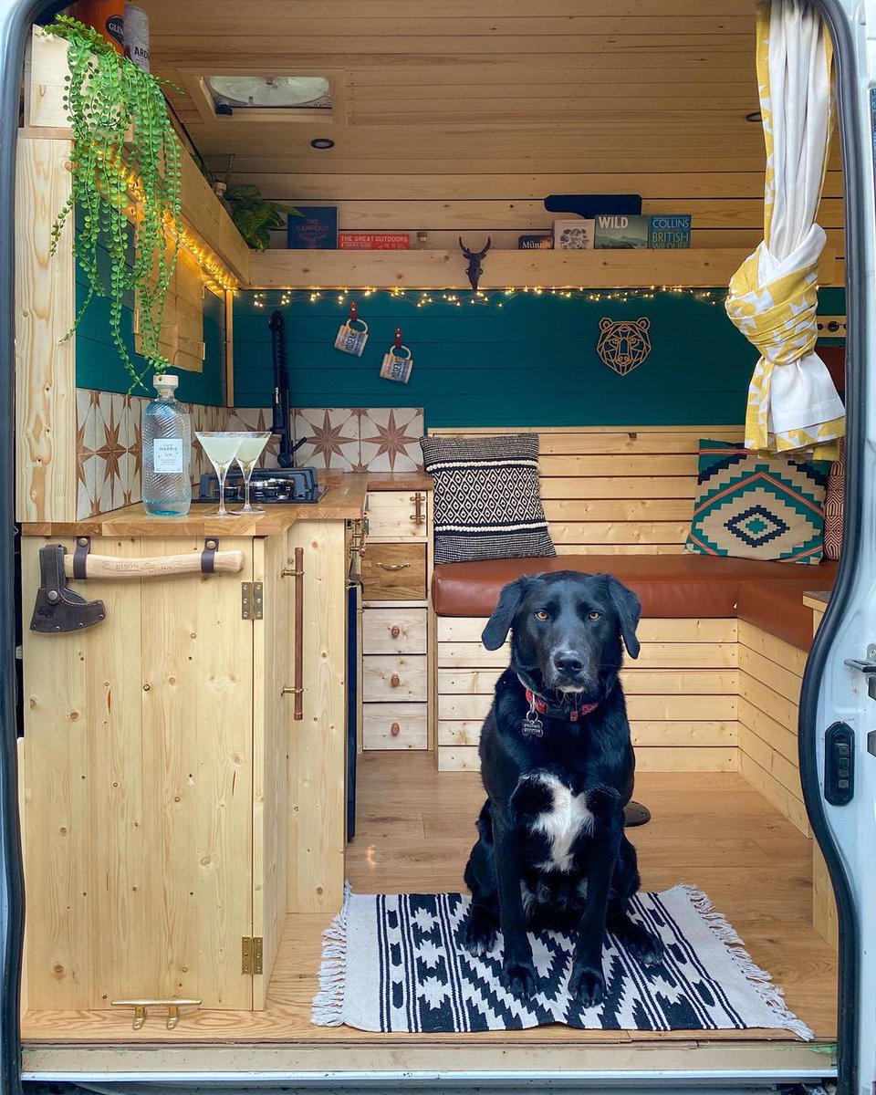 jomelouo's tweet photo. Karavanla yolculuklarına, köpekleri Bear'ı da dahil eden evli çift. İç ısıtan bir kuzine soba ve beyaz perdede izlenen film.. https://t.co/8D1xvNC9cW