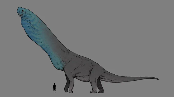 Sauroposeidon 