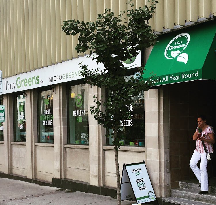 Storefronts of Ptbo tweet media