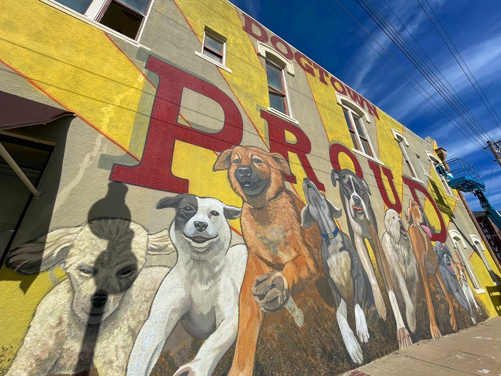 ExploreNLR's tweet photo. #DogtownProud in @argentaartsdist
๐จ Kevin Kreisler
#exploreNLR https://t.co/dsH9rSGCht