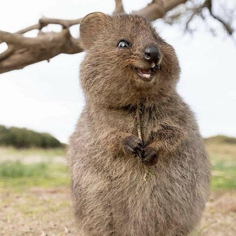 EXODE_CLY's tweet image. #NouvellePhotoDeProfil