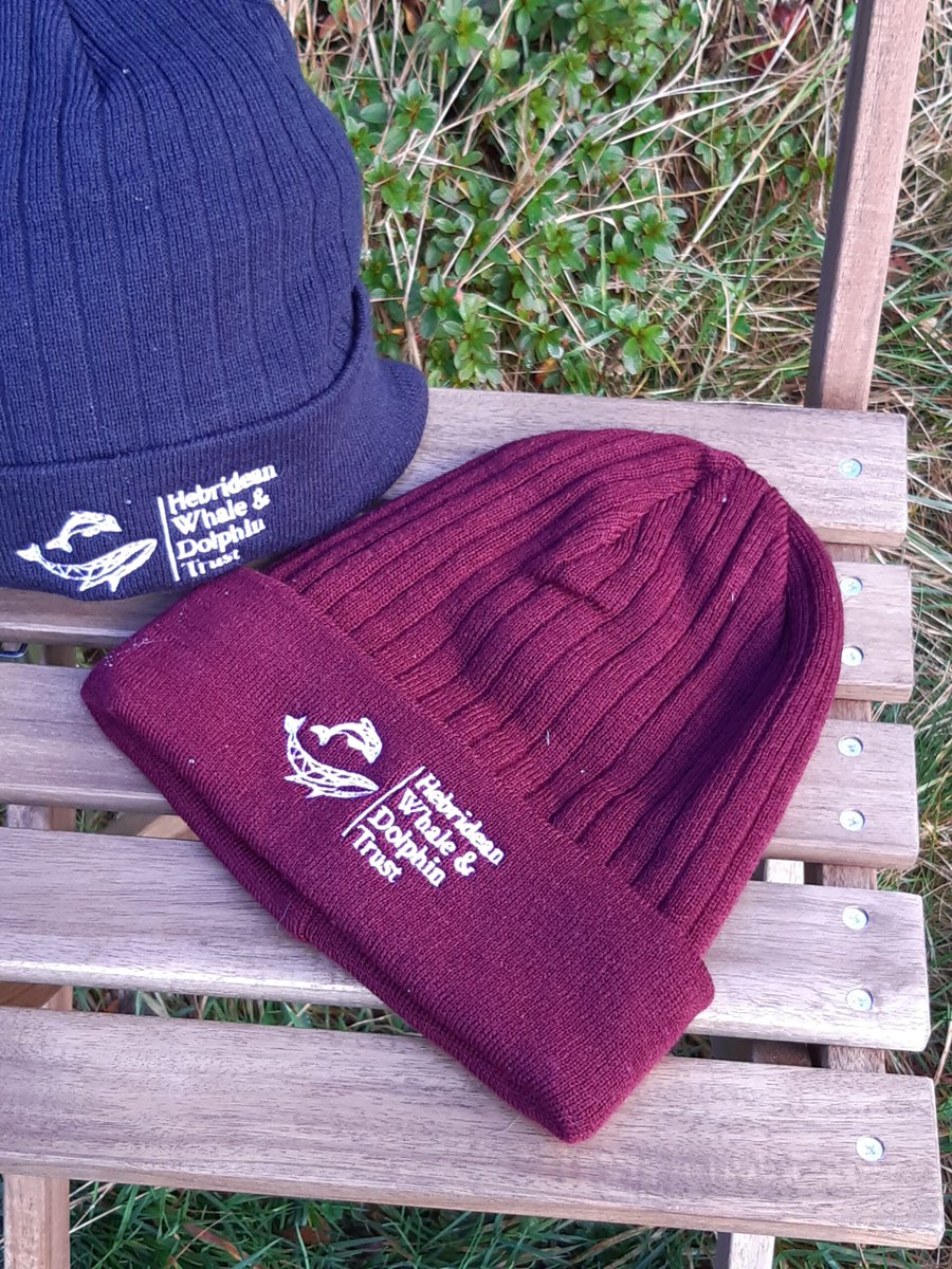 Isle20Shop's tweet photo. The Hebridean Whale and Dolphin Trust @HWDT_org, are doing excellent work and by buying some of their merchandise, you can help them continue!
https://t.co/si5tU8VExQ
#ThinkIndie #ThinkIsland #ThinkIsle20 https://t.co/FaEP62iHrV