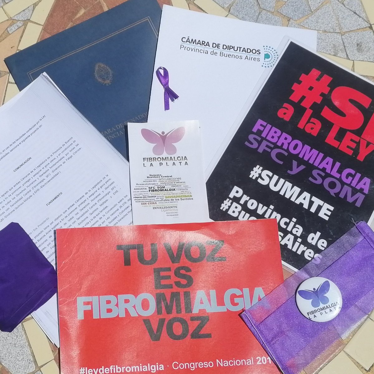 AnaTomasone's tweet photo. A un paso de la media sanción!!! Pcia Buenos Aires!!! @fibromialgialp HACEMOS HISTORIA!! @rdgiamello https://t.co/q71q0V9njr