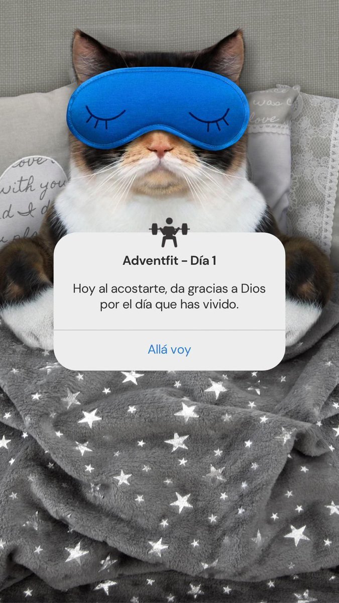 opusdei_es's tweet photo. Un programa para vivir el Adviento día a día. #Adventfit🏋🏽
Lo puedes seguir en nuestra cuenta de Instagram 👉🏽 https://t.co/KPDvkNVotv https://t.co/vQHHVpJlNI