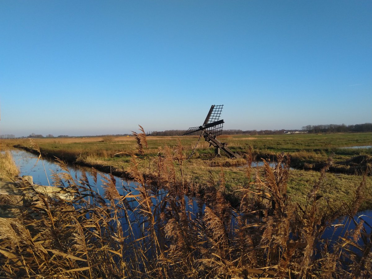 BertKoonstra's tweet photo. Hjerstkuier troch #houtwielen #goddeloaze.singel #falomsterleien ⁦@staatsbosbeheer⁩ #kûkhernsterpaed #swadde  #moai.sûnder.wjergea.binne.de.wâlden #autumn #fall #herfst #hjerst #snein29novimber2020 #BK https://t.co/HcX8c1Ne6E
