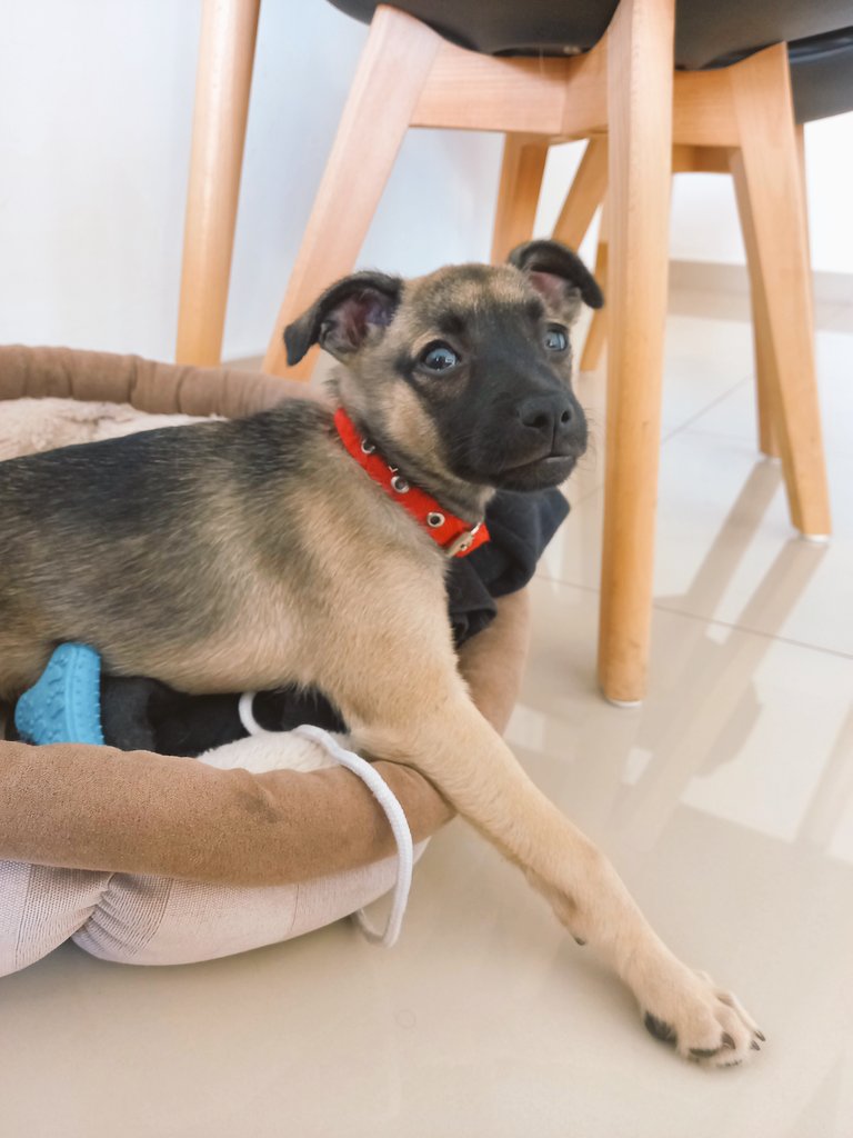 maría sol tweet media