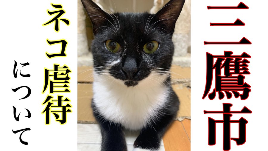 宮本 しゅんま 荒川区議会議員 Lin 三鷹市の件 全国で発生している動物虐待の件 2つについて言及しているとも受け取れますよね これは完全な屁理屈である事を自覚し あえて申し上げていますが タイトルというのはキャッチーで一目で見る人 宮本 しゅんま 荒川区議会議員 Lin 三鷹市の件 全国で発生している動物虐待の件 2つについて言及しているとも受け取れますよね これは完全な屁理屈である事を自覚し あえて申し上げていますが タイトルというのはキャッチーで一目で見る人