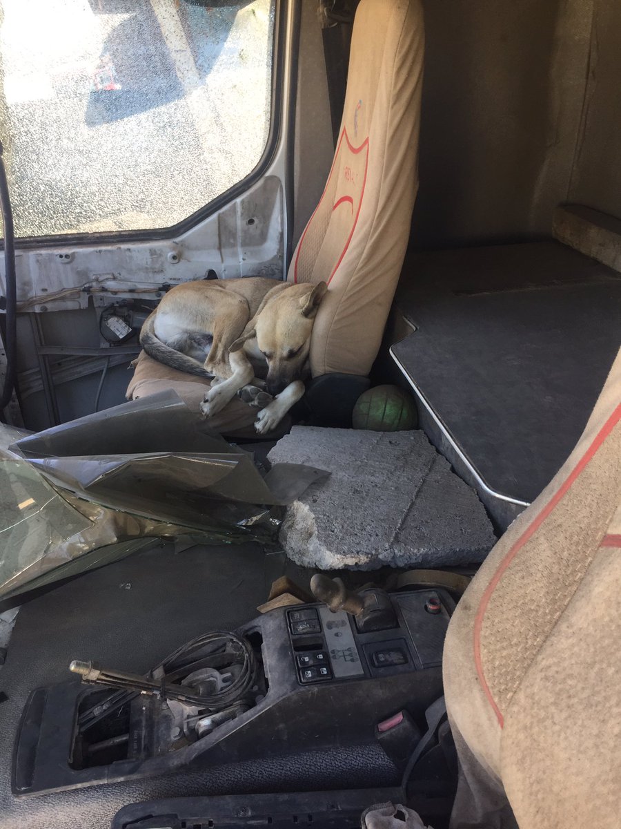 Erol. Oktay🇹🇷reis (@eroleroloktay19) on Twitter photo 