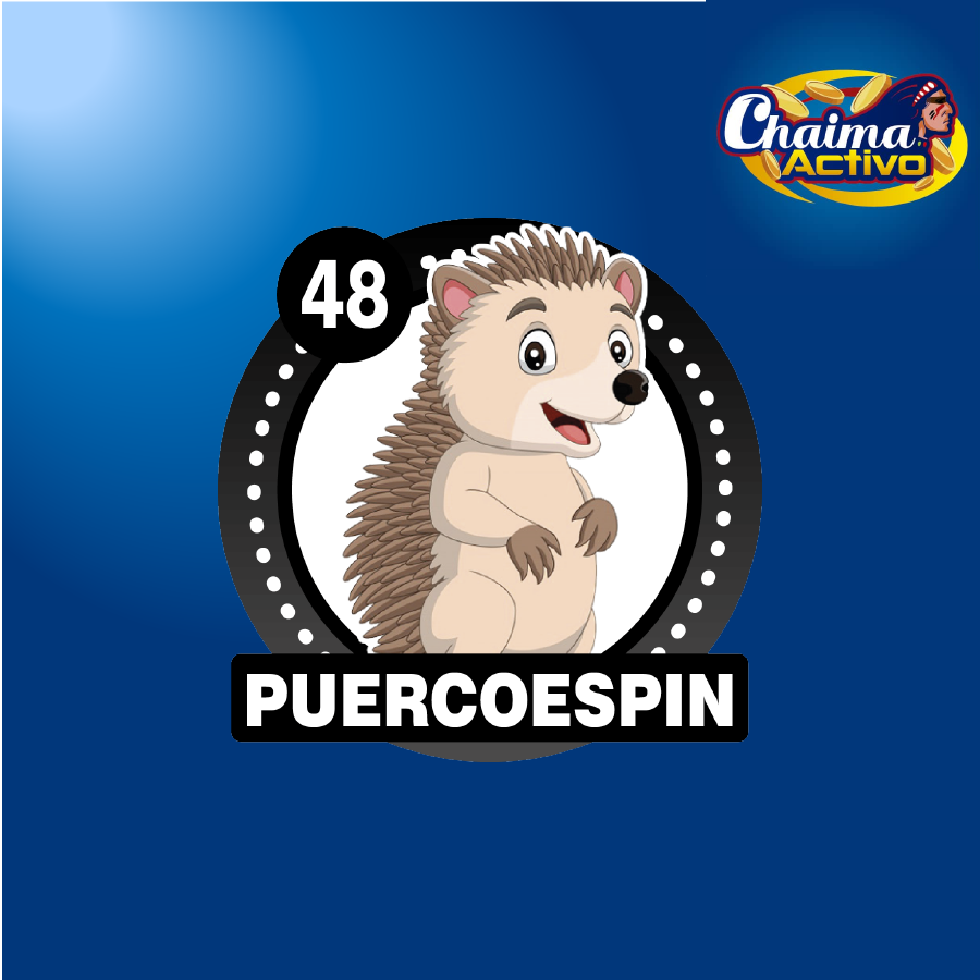 chaimaactivo's tweet image. Chaima Activo
29/11/2020
12:00 PM
48 - PUERCOESPIN
#29Nov #PagamosmasChaima Activo