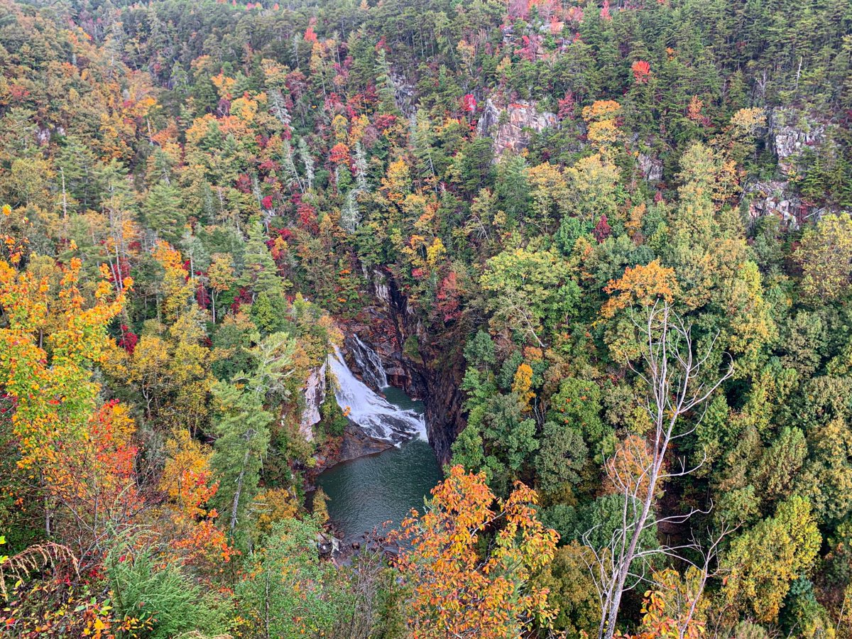 Fall is a great time for hiking with cooler temperatures and fewer crowds. Another perk? The incredible colored leaves! Check out the views from my hike through #TallulahGorge 
buff.ly/37h7kzV
#georgiahiking <a href="/gahiking/">Georgia Hiking</a> <a href="/hiketheplanet_/">Hike the Planet</a> <a href="/last_adventurer/">Last Adventurer</a>