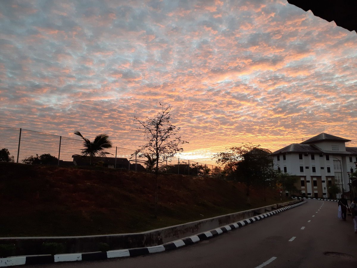 Mallox_x's tweet image. I miss the view #sasem