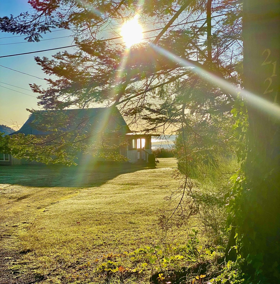 Morning light in paradise