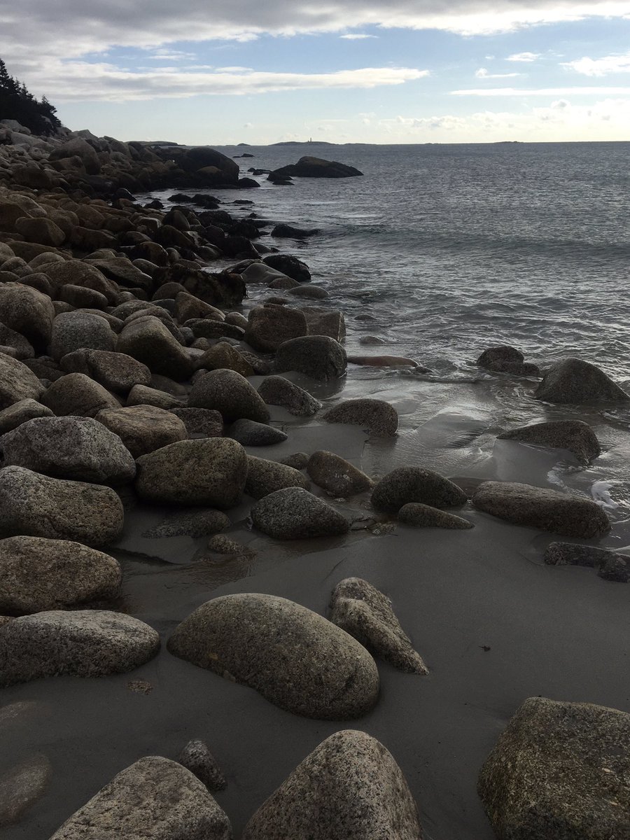 Cove17's tweet image. Up in the morning and off to the shore.