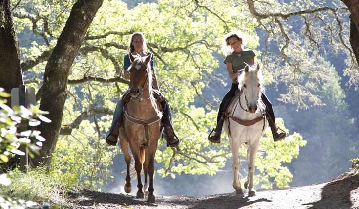 RomeiAlice's tweet photo. in marina di massa you will find a dirt path that can only be traveled on horseback.
a wonderful experience for those who love horses and have never had the opportunity to climb on them🐎🐎❤️ https://t.co/JrgsGGqM4m