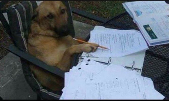 annesi üzülmesin diye intihar etmeyenler (@anneuzulme) on Twitter photo 