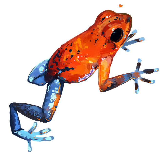 ヤドクガエル イラスト ヤドクガエル イラストレーター ヤドクガエル イラスト ヤドクガエル イラストレーター