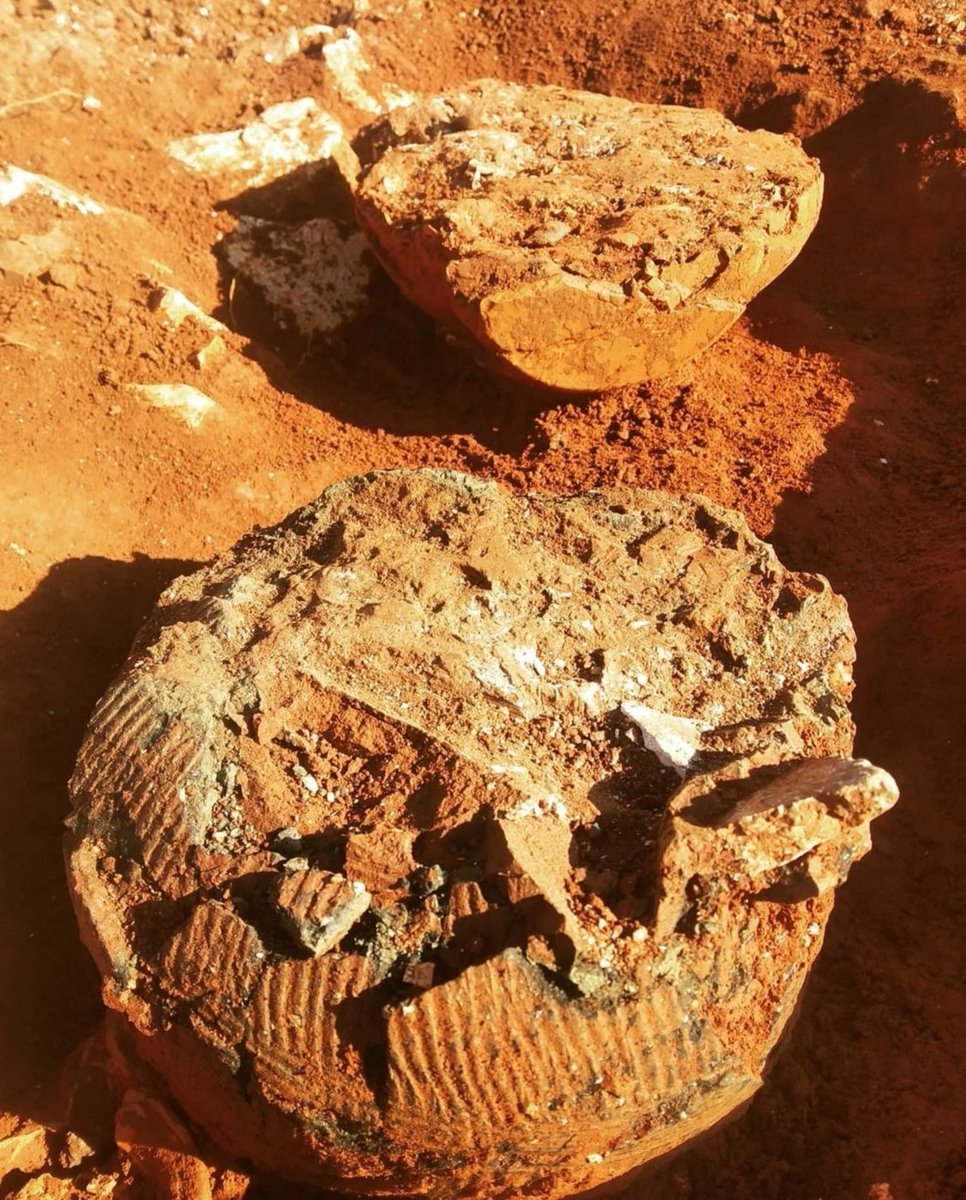 antonijamaric3's tweet photo. Excavation of Roman necropolis of Iader #romanarchaeology #necropolis #Archaeology #archaeology_online #archaeologist #Iader #ZadarCroatia https://t.co/LKWOBFsWO8