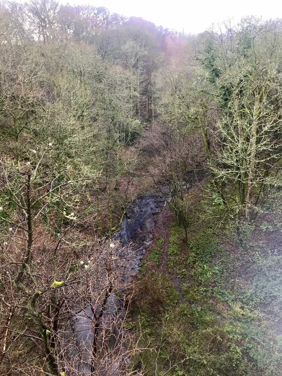toonmillie's tweet photo. A bit murky today, but two lovely walks; one at #Causey Arch, this morning, and another at #Wallington Hall this afternoon. So lucky to have this (almost) on the doorstep. #Gateshead &amp; #Northumberland https://t.co/6lf8AbjgX9