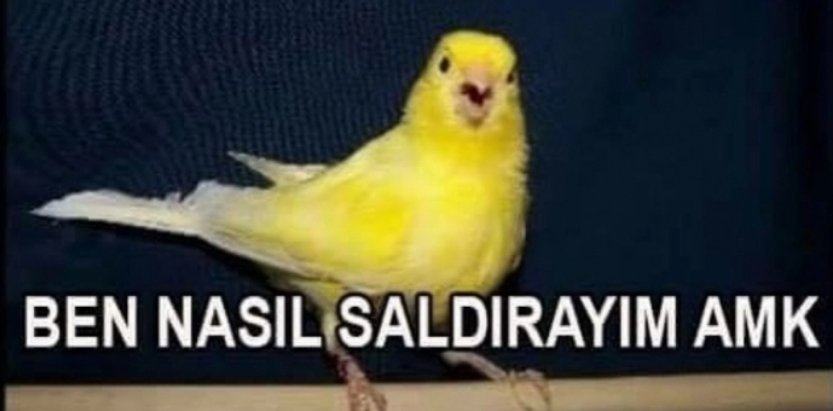 Eljf (@diyosundimi) on Twitter photo 