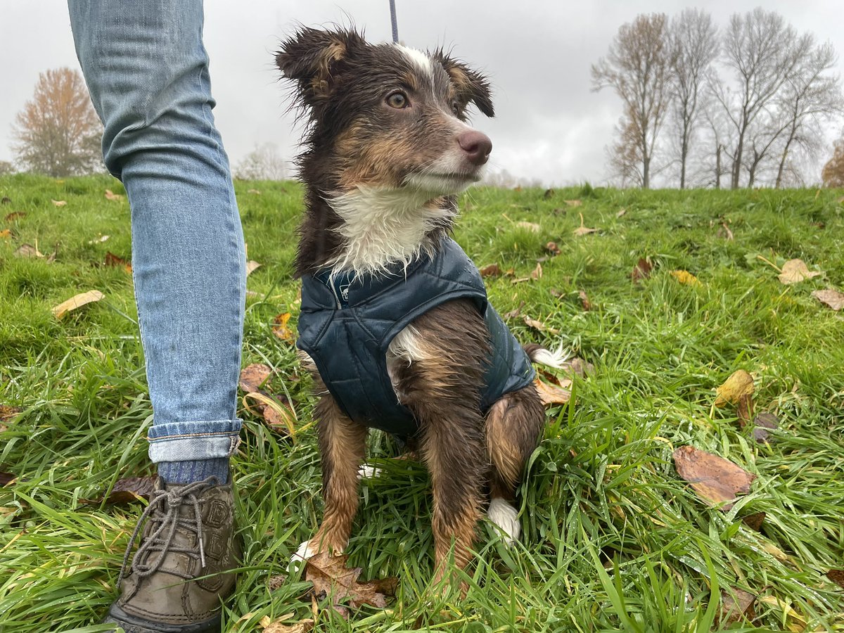 Lauren Saunders tweet media