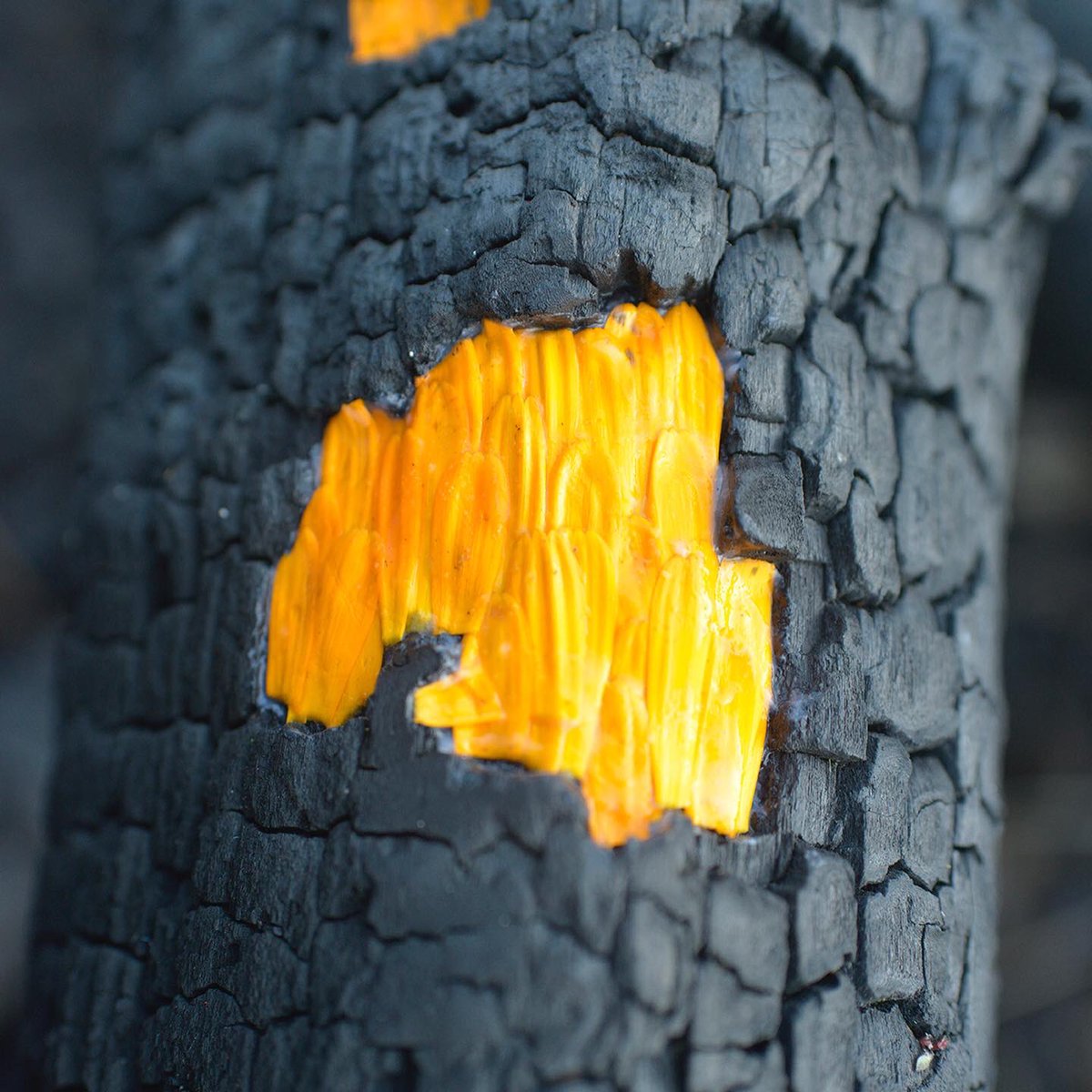 Frédéric Dilé tweet media