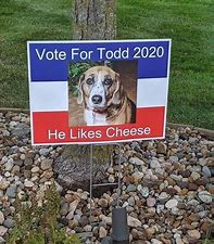 scuffedtherapy's tweet photo. join the movement to overthrow the government and elect todd or I will steel your cheese #kanyewithnoelection https://t.co/igAOWSKD3B