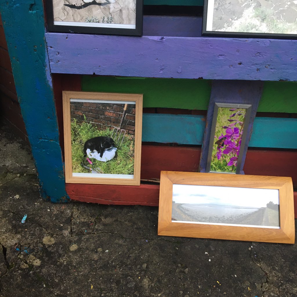 _jojitsu's tweet photo. Next stop was 27 Penllyn Ave, which to my delight had some kitties on display... @AOTH_NP20 #AOTH2020 #arttrail #artsnewydd https://t.co/TXmRCRN7kA