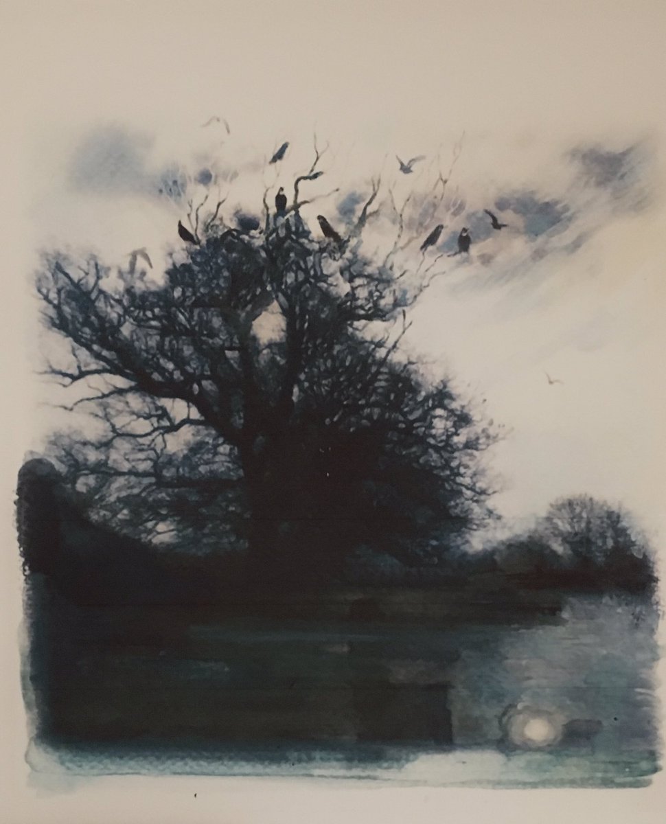 Winter approaches...’Crows in an old tree, Sulhamstead’ Ink and pastels.
#WINTER #winterwildlife #countryside