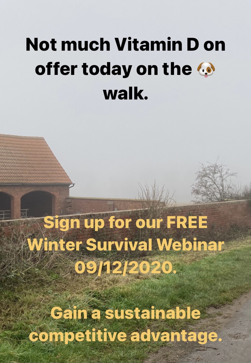 Athletic Thinking tweet media