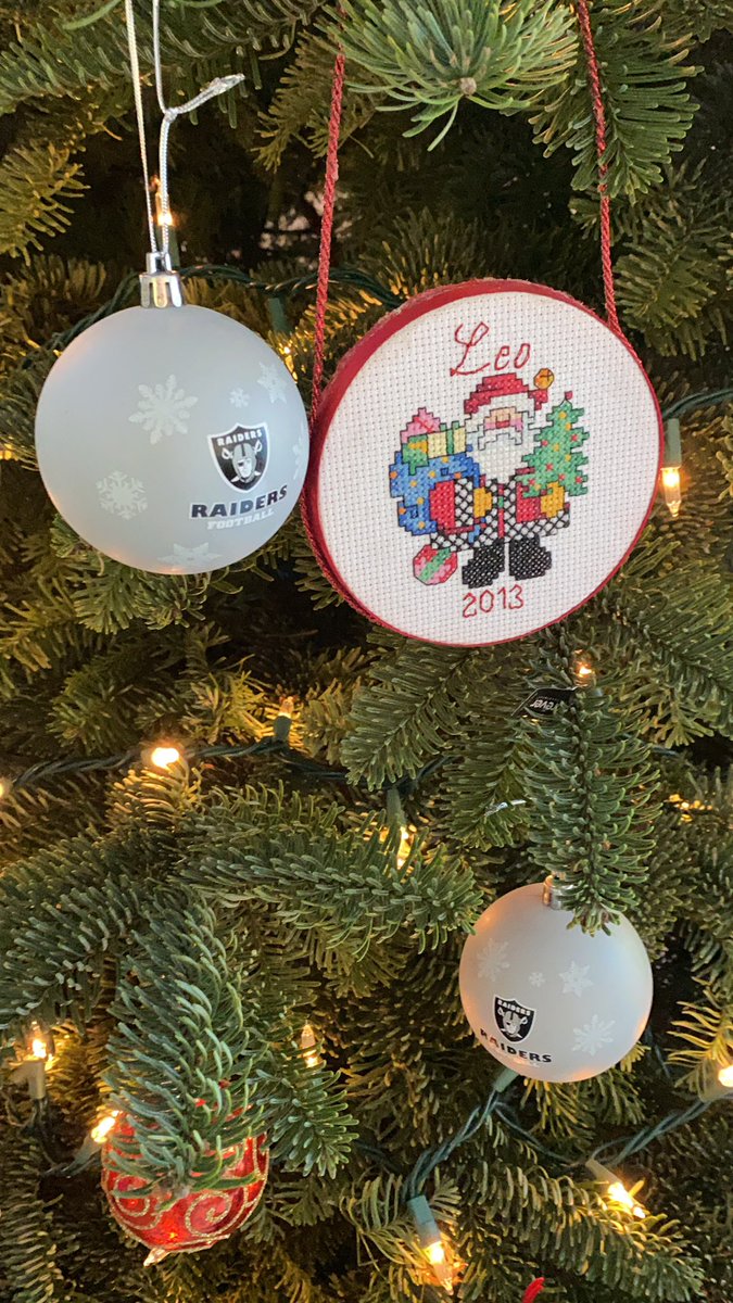 SamDekin's tweet photo. @raiderfans https://t.co/SGoiYme8zm