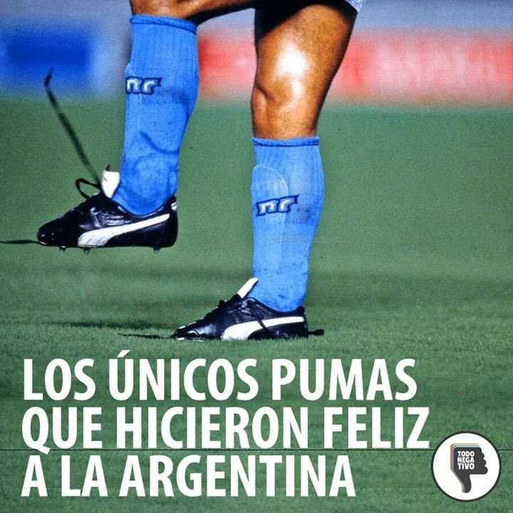 cogolloxx's tweet photo. @lospumas https://t.co/MeymAD7h7a