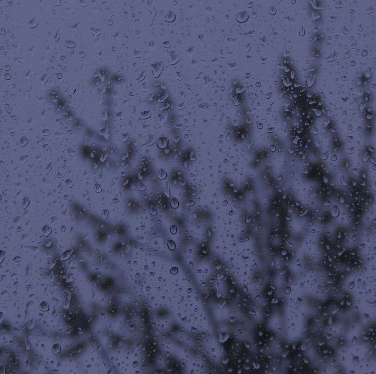 hellotysaa's tweet image. 312. Post-Traumatic Stress Disorder

⚠️ Blood, panic attack.

•write.as/ubkekp1h1dgmx6…•