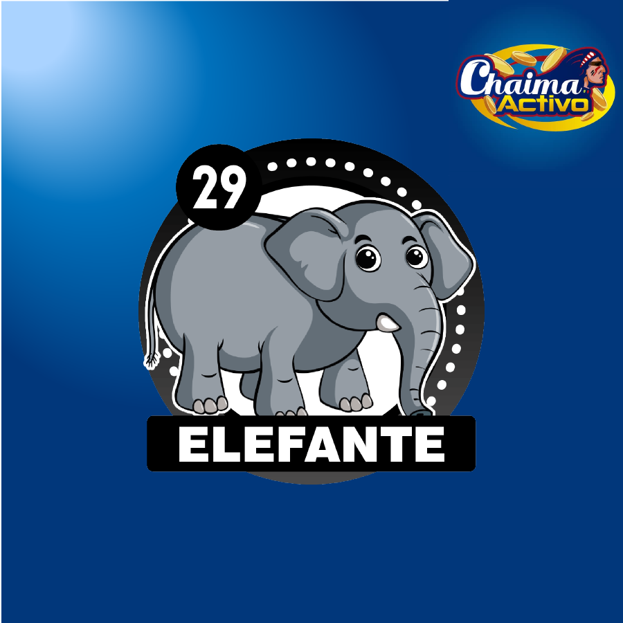 chaimaactivo's tweet image. Chaima Activo
29/11/2020
02:00 PM
29 - ELEFANTE
#29Nov #PagamosmasChaima Activo