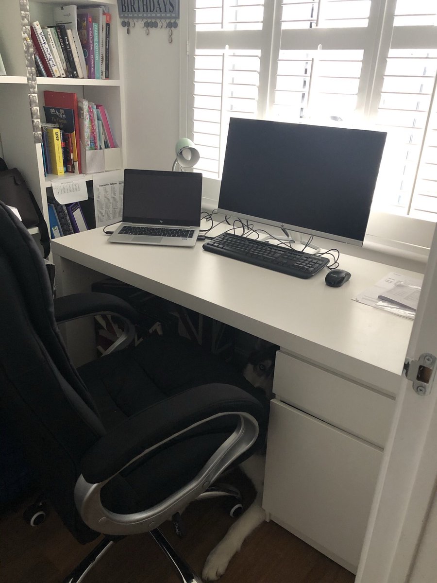 _JamesLinnane's tweet photo. New screen, seat and laptop ready to start my new job tomorrow 😁👨‍💻  #NewJob #MondayMotivation #SpotTheDog https://t.co/xJy1wrNj3C