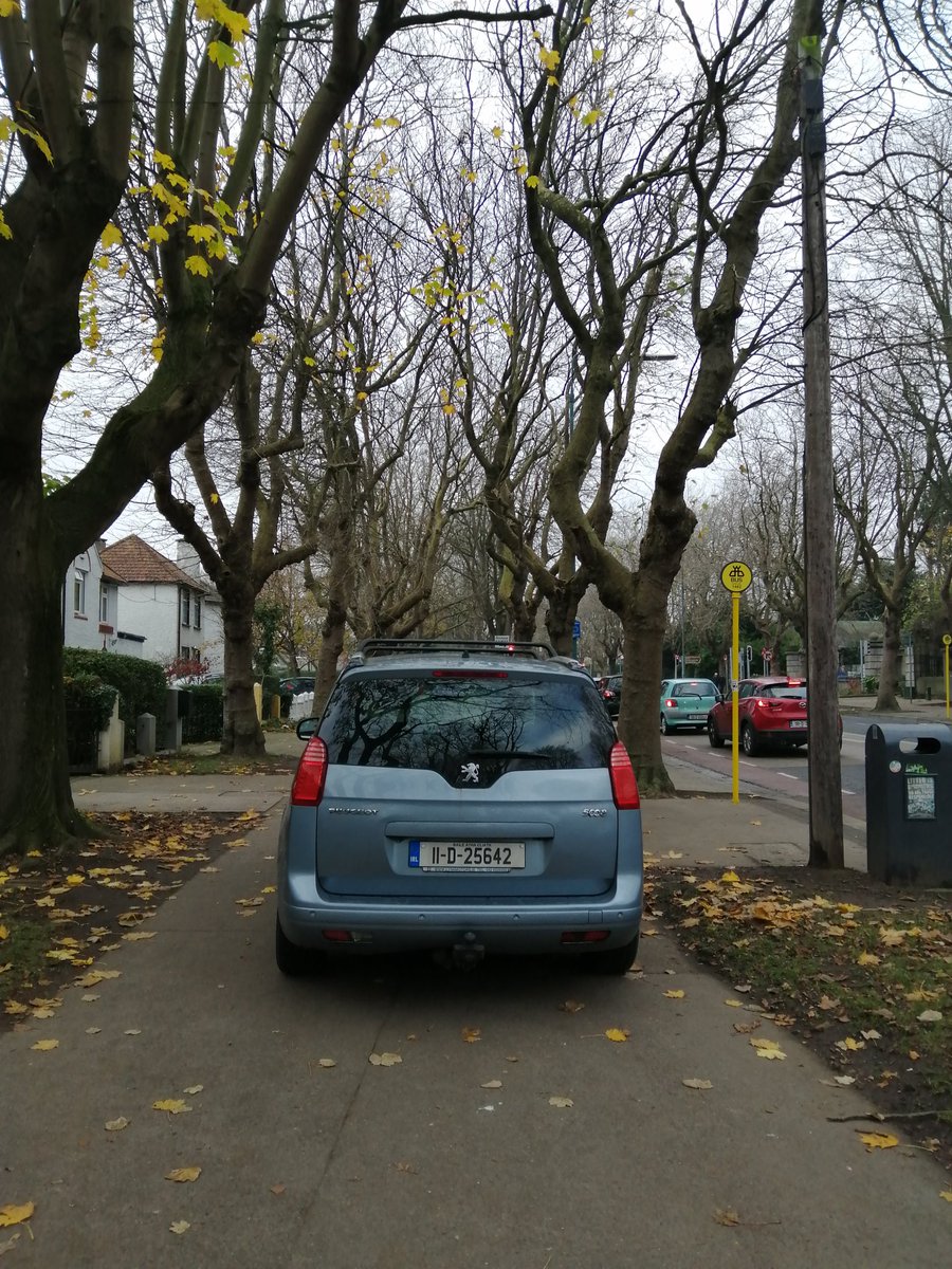 Fairview Footpaths tweet media