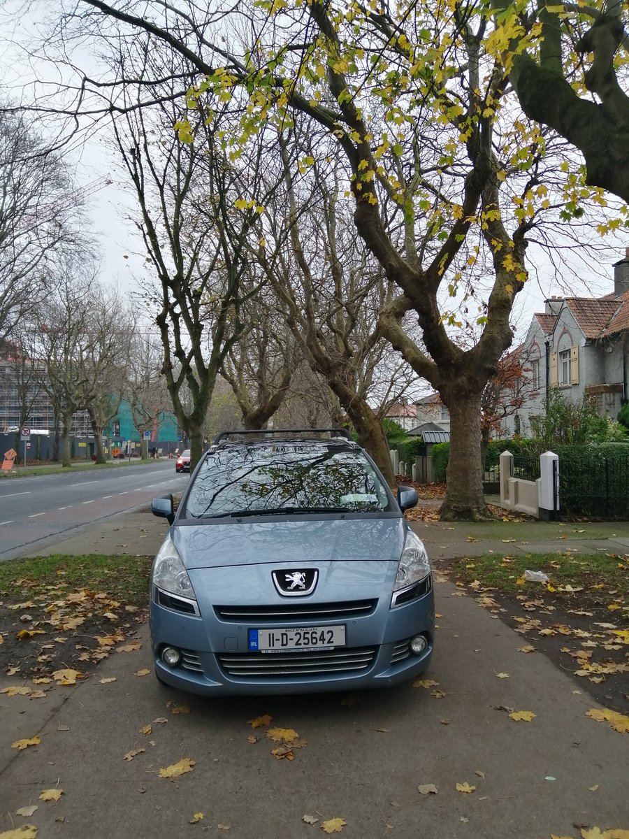 Fairview Footpaths tweet media