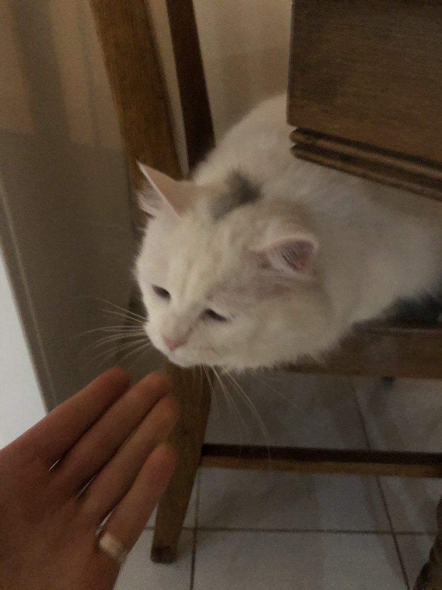 spiceboyjaws's tweet photo. a story in 3 parts 🥺 (feat. blizz) https://t.co/rPyDIhY1RU
