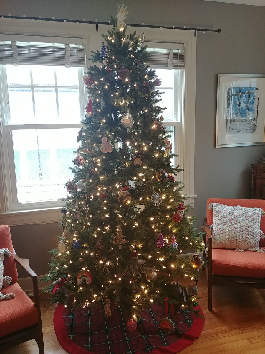 PaulPycraft's tweet image. Tree's up!