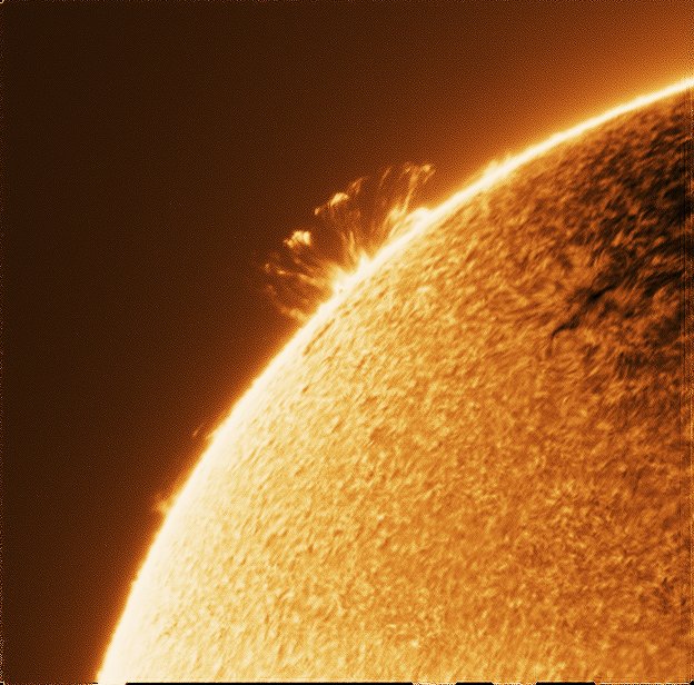 AJamesMcCarthy's tweet image. There is an incredibly rare event occurring right now- plasma is tracing along magnetic field lines on the sun, making them clearly visible with the right gear. This is an image I captured 10 minutes ago from my backyard. #astrophotography #space #opteam