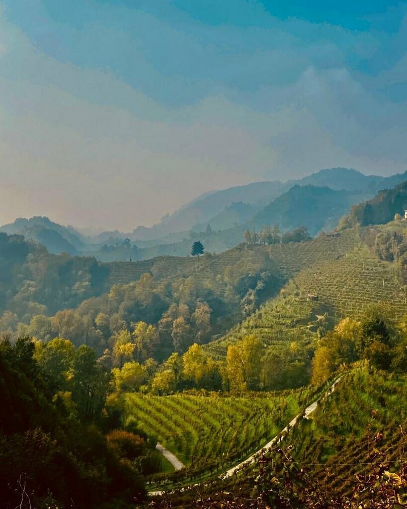 How stunning is this photo of the beautiful Prosecco hills by our very own Prosecco driver @oriproseccodriver 💚 instagr.am/p/CIL0TPxniH4/