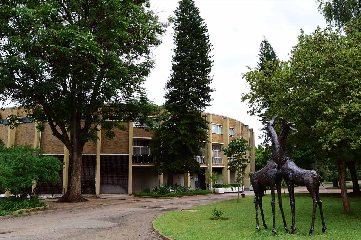 savannaconsult_'s tweet photo. Visit Zimbabwe's Well kept,informative and intriguing  Museums.  
#museums
#MuseumsUnlocked
#savannatours
#NMMZ 
@BrightMoyosvi https://t.co/KOKLyr3TIZ