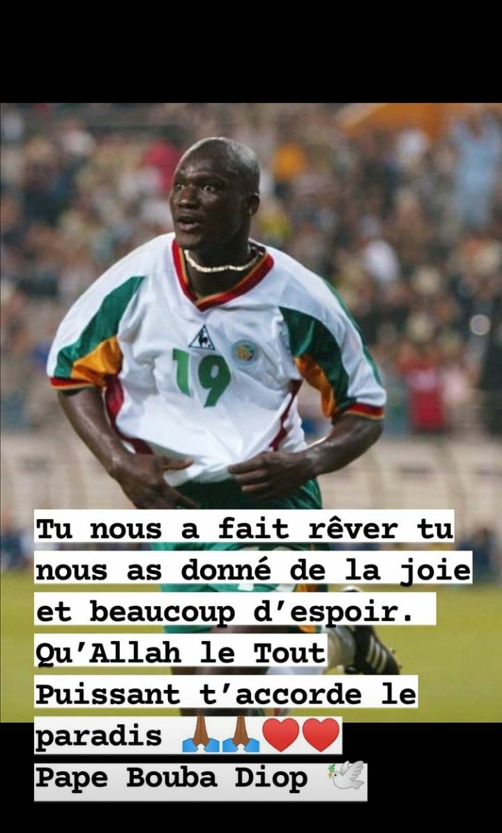 Rest In Peace Lion 🦁🕊️💔