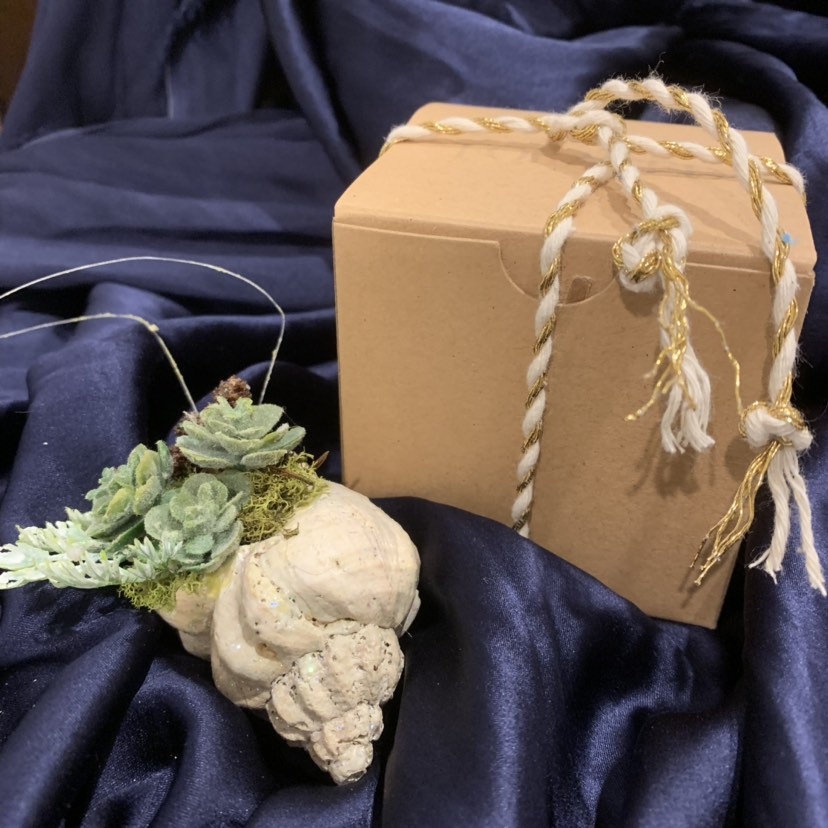 ForagedDecor's tweet photo. Back in Stock!  Seashell Ornaments filled with Faux Succulents   

https://t.co/d46UlpjeMS #christmas 

#seashellornament #succulentornament #coastalornament #beachyornament #christmasornament #beachyshowerfavor #teachersgift #housewarminggift https://t.co/jxxhol4Nl3