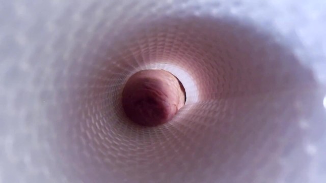 Alex Vergara’s pics and videos